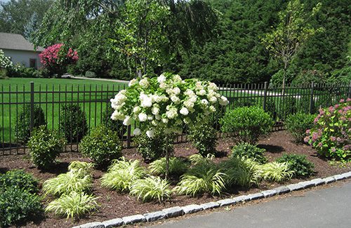 NEHS-Garden-web Landscape Services