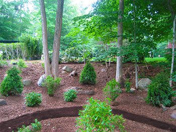 OS-1 Organic land care