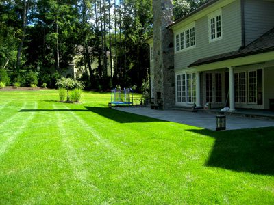 cfp-1 greengrass