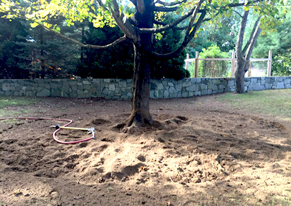 PHC Root Zone Excavation – Web